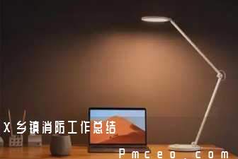 x乡镇消防工作总结