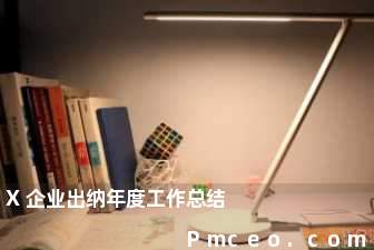 x企业出纳年度工作总结