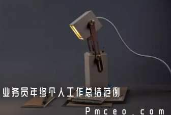 业务员年终个人工作总结范例