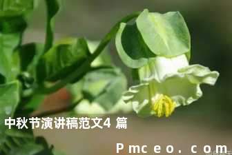 中秋节演讲稿范文4篇