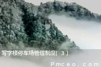 写字楼停车场管理制度(3)