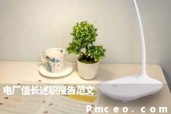 电厂值长述职报告范文