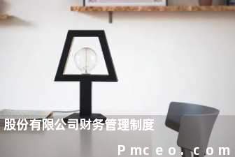 股份有限公司财务管理制度